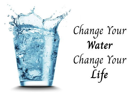 Change_Water_Lotus_Life_Health