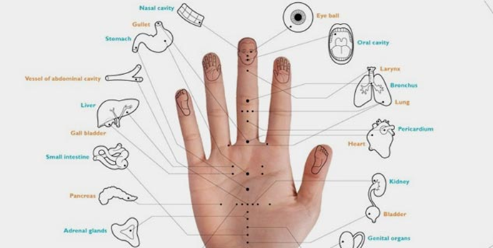 Pressure_Points_For_Different_Organs_In_Your_Hand_Lotus_Life_Health