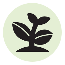 Thrive_Plan_Header_Circle Thrive_Plan_Header_Circle
